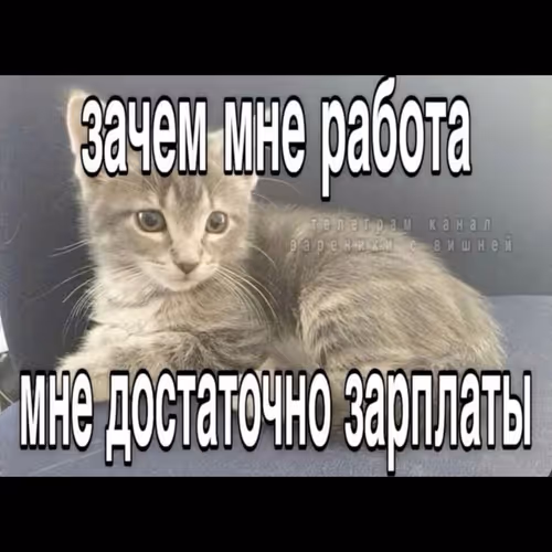 memy