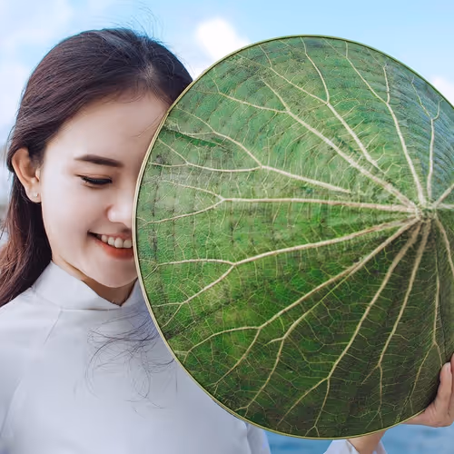 Aodai VN