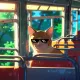 cat bus