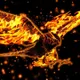 sondron