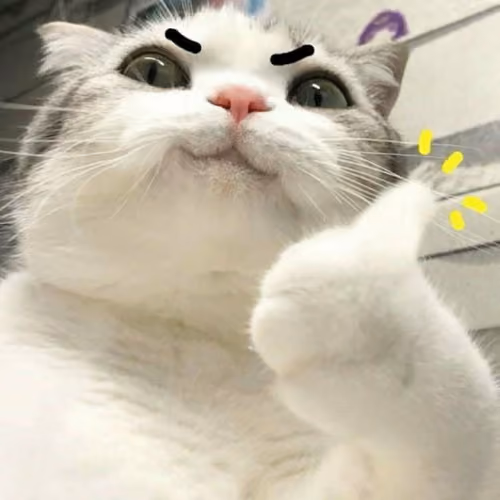 Nice Cat