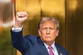 trumpgo