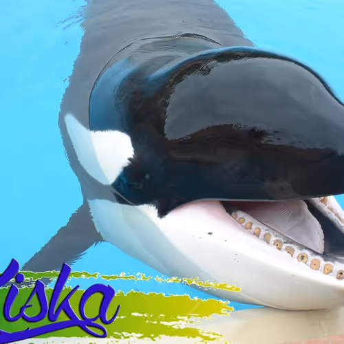 kiska