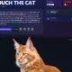 the cat