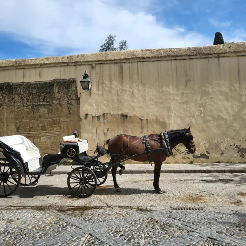 0x3b6558b68e24ea7f2dca3fe81b5db533eca1b921