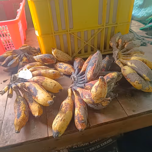 Banana Gold