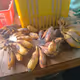 Banana Gold