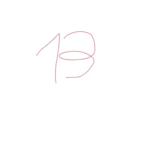 13