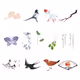 bird