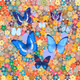 Butterfly Success