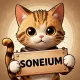 Soneium Fan