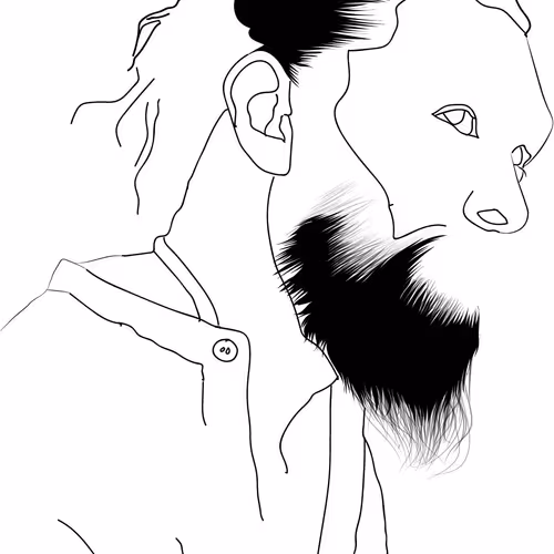 intro to vector drawing