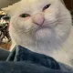 GrandCat