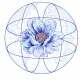 Soneian Flower