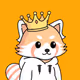 Racoons