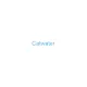 Catwater