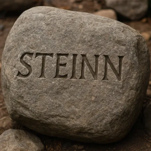 steinn
