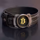 Bitcoin BELT