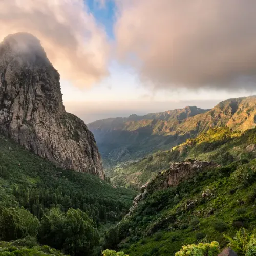 the nature
