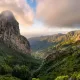 the nature