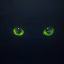 專案媒體佔位符