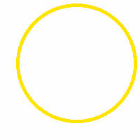 zen377