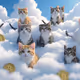 Cats and crypto