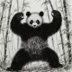 Dark Panda