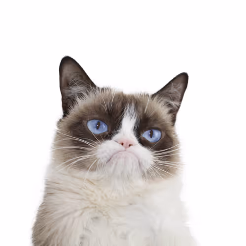 CATY