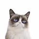 CATY
