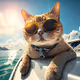 FunnyCat