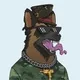 SON DOG