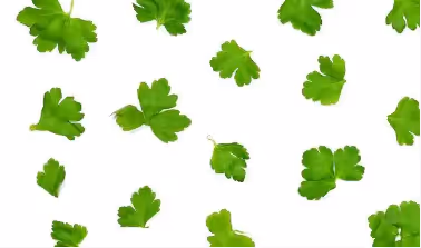Green leaves