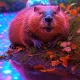 NFT - TEST(любое название)