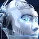 Bots