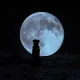 moon