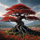 baobab