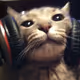 SonyCat