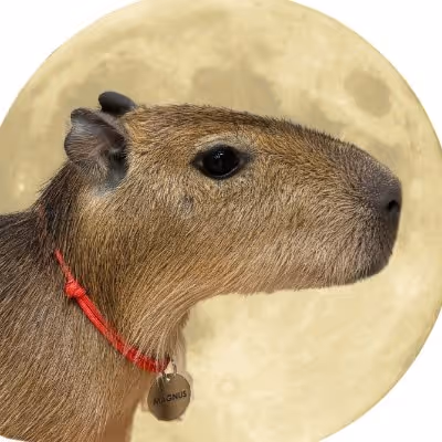 Sonebbit