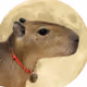 Sonebbit