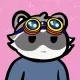Raccoon