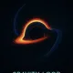 Gravity Loop