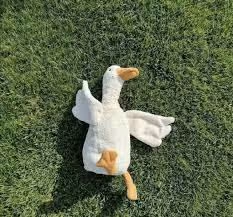 duckgg