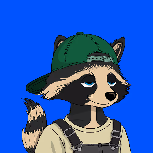 Raccons