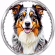 AUSTRALIAN SHEPPERD