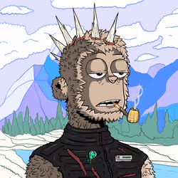 526