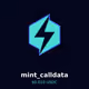 Mint Calldata