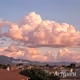Pink clouds