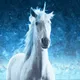 Iceborn Unicorns