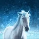 Iceborn Unicorns